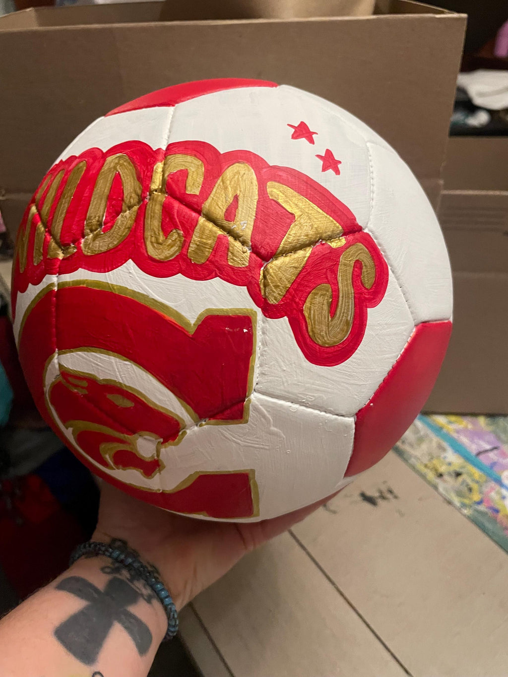 Custom painted soccer ball, Personalized soccer ball, custom sports logo soccer ball