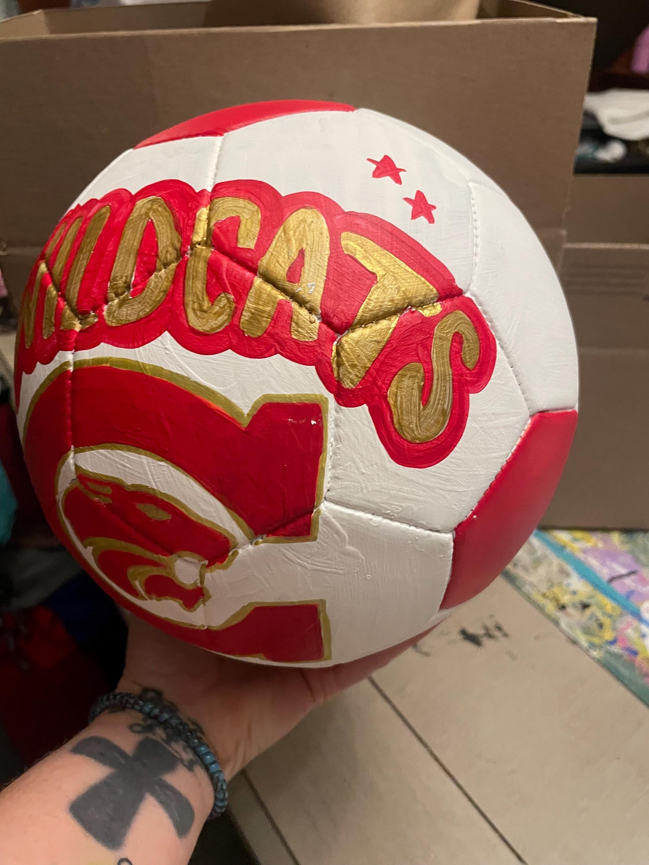 Custom painted soccer ball, Personalized soccer ball, custom sports logo soccer ball