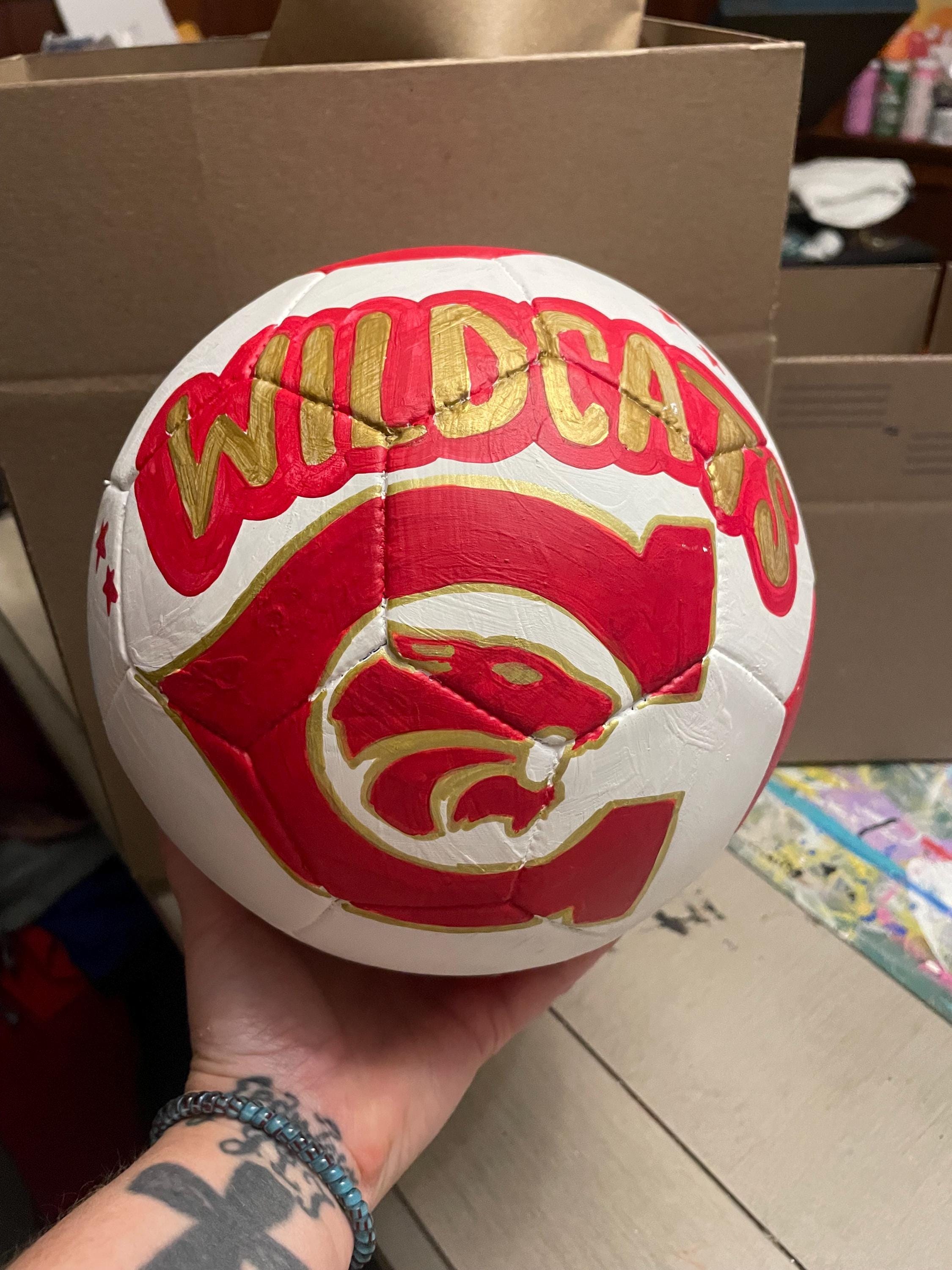 Custom painted soccer ball, Personalized soccer ball, custom sports logo soccer ball