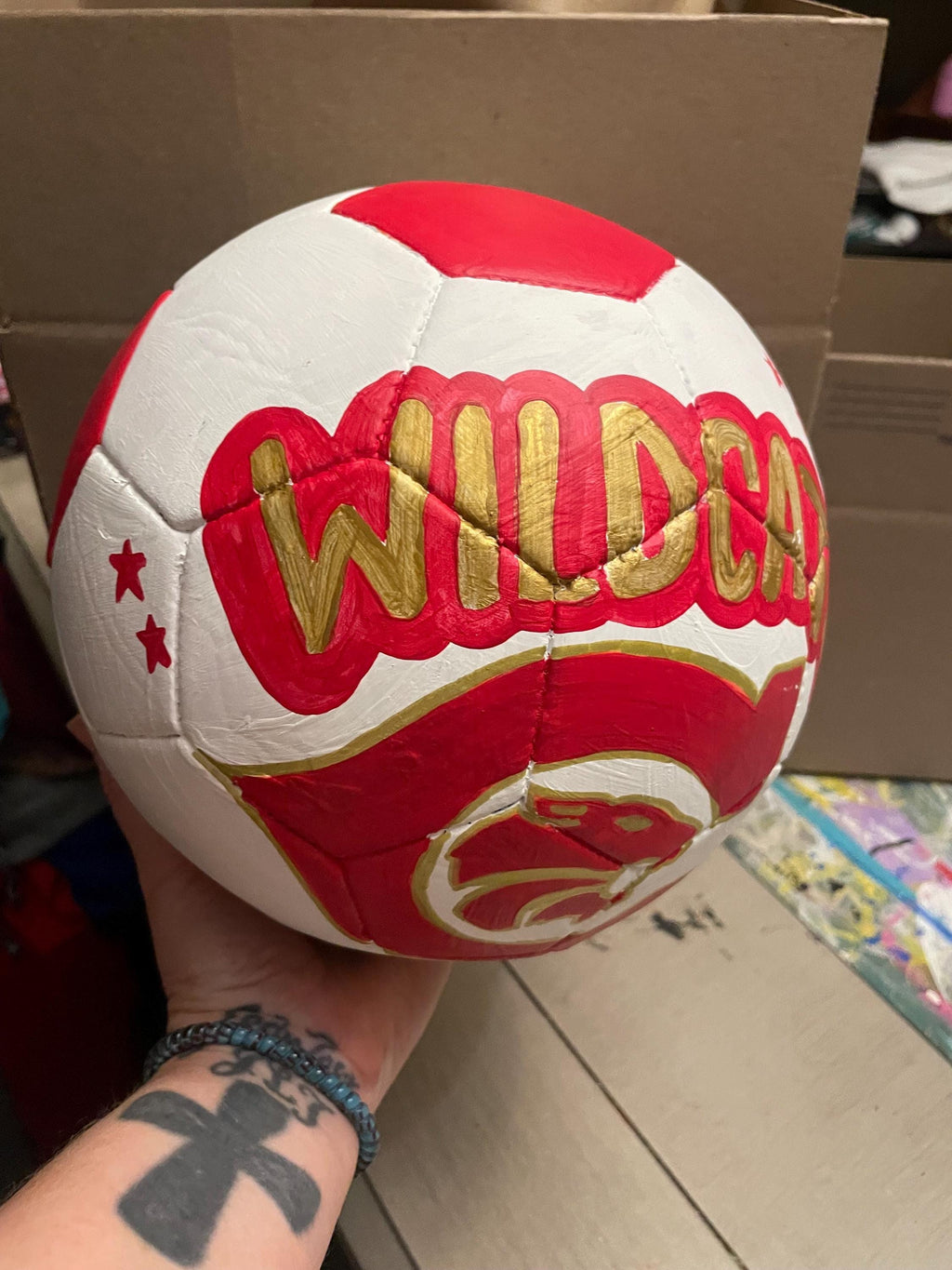 Custom painted soccer ball, Personalized soccer ball, custom sports logo soccer ball